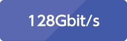128 Gbit/s