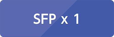 SFP x 1