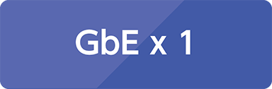 GbE x 1