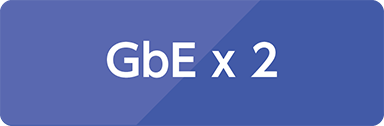 GbE x 2