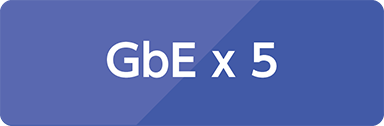 GbE x 5