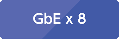 GbE x 8